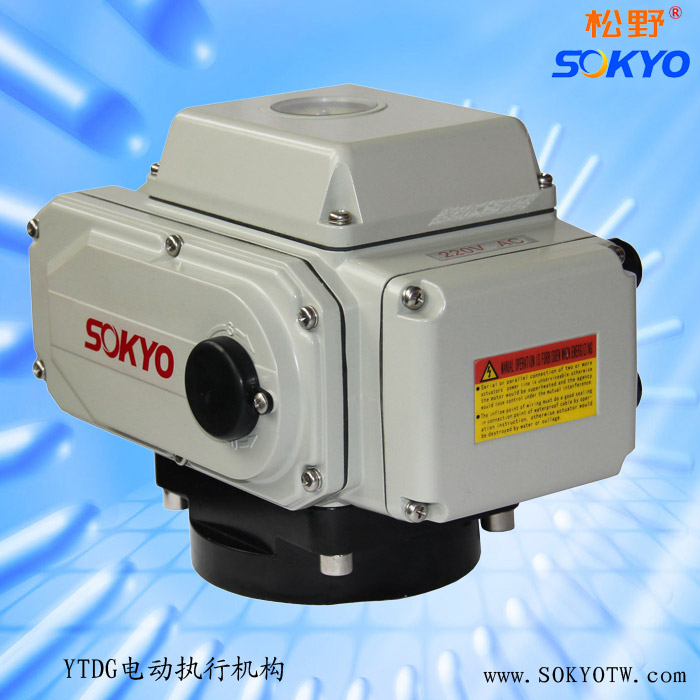 電動執(zhí)行器 電動執(zhí)行器