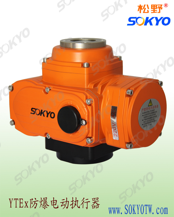 電動執(zhí)行器