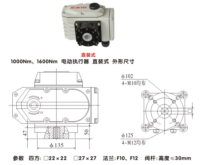 電動執(zhí)行器,電動頭,YTDG-RS1000電動執(zhí)行機(jī)構(gòu)結(jié)構(gòu)圖,直裝式