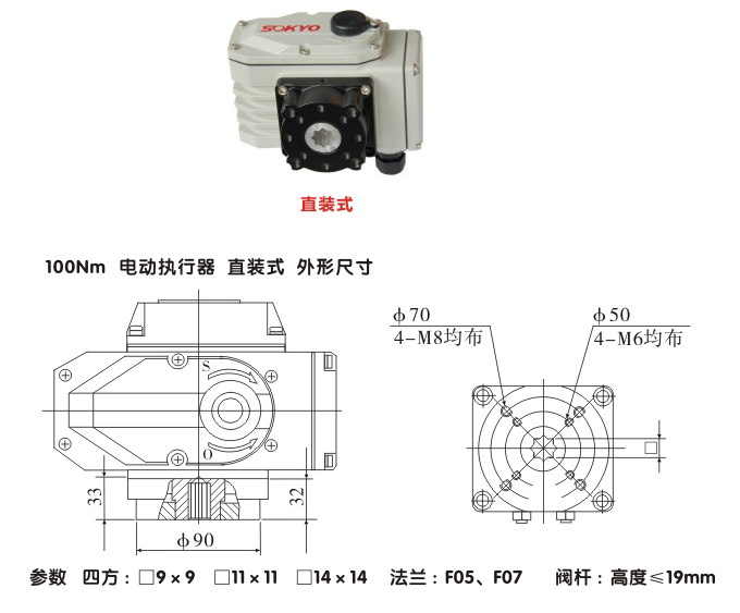 電動執(zhí)行器,電動頭,YTDG-RS100電動執(zhí)行機(jī)構(gòu)結(jié)構(gòu)圖,直裝式