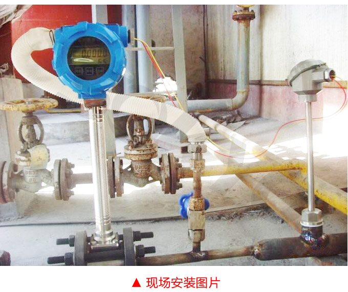渦輪流量計(jì),YTFL脈沖輸出渦輪流量計(jì)現(xiàn)場(chǎng)安裝